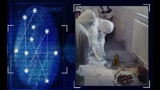 Wahre Verbrechen 2025 I Raubmord: Renterin Anneliese M. umgebracht I True Crime Dokumentation
