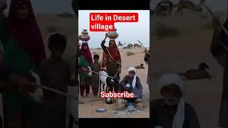 life in Desert village#villagelife #viral #ruralvillage #simple#desert#Rohi#ytshorts#trending