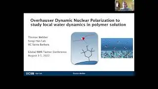 Overhauser Dynamic Nuclear Polarization to study water dynamics near polymers #GlobalnmrTC2022