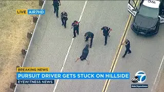 POLICE CHASE: Suspect surrounded by armed officers, taken into custody | ABC7