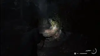 A Big Bad Wolf Encounter