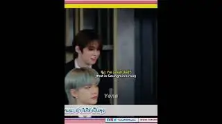 Seungmin reaction when Han introduces himself as a small dad | #2min #leeknow #seungmin #strykids