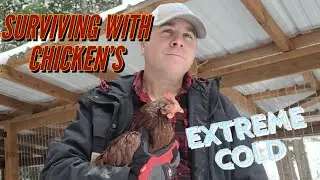 Raising Chickens During Cold Weather SHTF! Tips & Tricks!