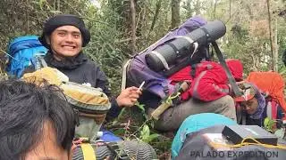 palado ekspedisi
