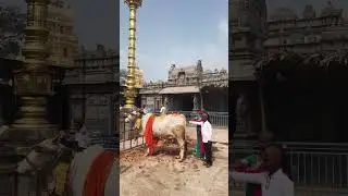 Singarakonda Prasanna Anjaneya Swamy Temple -Addanki