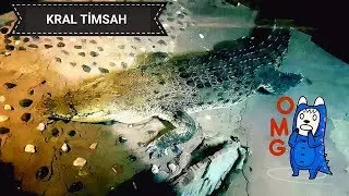 Emaar  Akvaryum vlog