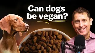 Can dogs and cats be vegan? (Andrew Knight)