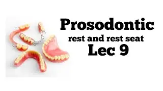 Lec 9 || rest and rest seat || بروس مرحلة ثالثة