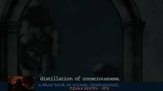 Brief Tour of Higher Consciousness - Part 3.3 -- TR-ST-FN-I