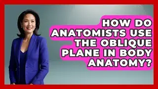 How Do Anatomists Use The Oblique Plane In Body Anatomy? - All About Anatomy Answers