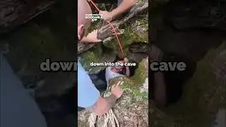 Cavers Rescue a Dog Trapped inside a Cave For Weeks #Shorts