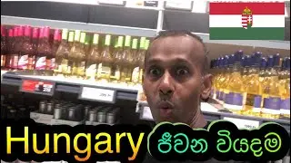 Cost of Living | හංගේරියාවෙ ජීවන වියදම | Lidl Supermarket Price #costofliving #focuswithchan #lidl