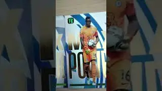 Max power panini Top class