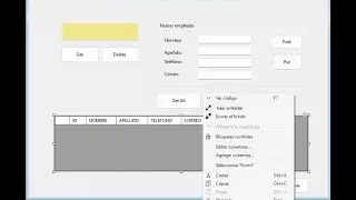 Web API y consumo en Windows Application Net8