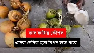ডাব কাটা  Coconut Cutting   Amazing Fast Green Coconut Cutting Skills   Fruit Market Street Food