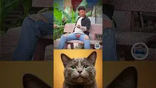 Money-making trick Oppa Huy🤨#cat #memes #funny #trending