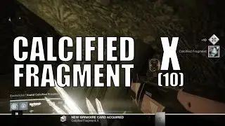 Destiny - Calcified Fragment: X (10)