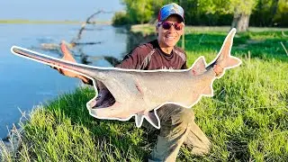 Epic Paddlefish Snagging Adventure in LEGENDARY North Dakota! Catching MONSTER Fish after Fish!