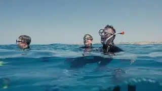 Swimming with Whale Sharks - Three Islands Tours in Exmouth