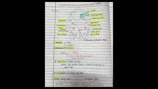 Body fluid and circulation notes #medical #nursing #bscnursing #gnm #medicalnotes
