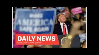 Daily News - Donald Trumps eccentric approach to truth, explained in 7 words