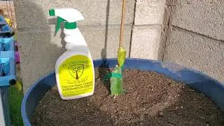 Iv organic sun screen spray for plants