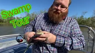 Louisiana Swamp Tour Adventure and New Orleans Airboat Tours Review