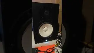 Yamaha HS8 Studio Speakers 🔊👌