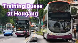 Training Buses At Hougang