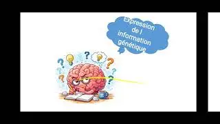 Expression de l information  g&eacute;n&eacute;tique 