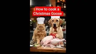 How to cook a Christmas Goose 🪿#cat #dog #christmas #goose