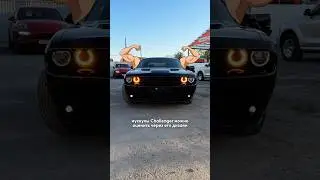 What is a MUSCLE CAR? Example: DODGE CHALLENGER!