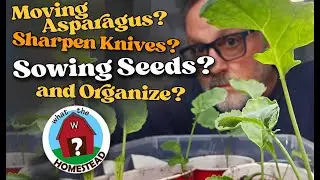 Asparagus Moved, Sharpen Knives, Sowing Seeds and Organize!