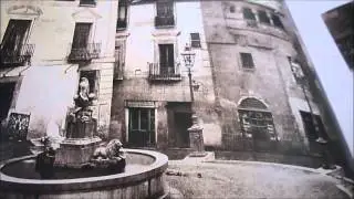 IMPRESSED BY LIGHT: British Photographs From Paper Negatives