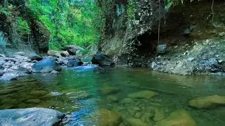 Alpine Stream Peace &ndash; Clear Flow for Restful Meditation