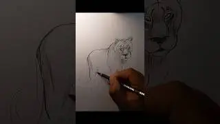 panther drawing wait for results #shorts #drawing #charcoalart #pencildrawing