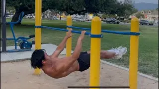 Beginner Calisthenics Workout Circuit ft. Stephen Ng