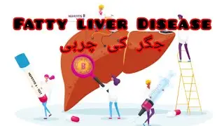 Fatty Liver Disease in urdu/ hindi | Types of liver disease