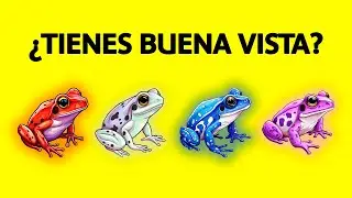 MENTE Y VISTA AL L&Iacute;MITE: 12 desaf&iacute;os de agilidad visual 💡