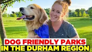 Check out these dog friendly parks in the Durham Region | Dan Plowman Team