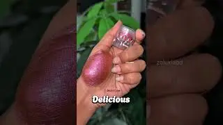 😍Everly Beauties Multichromy pigments😍 #zeluxiabd #everyone #foryou #support #pigments #viralvideo