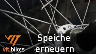 Wie erneuere ich eine Speiche - vit:bikesTV 219
