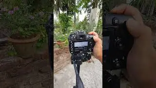 How to blur background with dslr kit lens / Dslr camera background blur settings 2024 ❤️🔥 #shorts