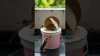 Funny! Rice bait trick so simple, mice fall without a fight #rodentcontrol #homehacks #pesttips
