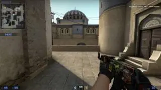 CS:GO 1v5 Clutch
