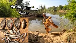 หว่านแหซุ่มเอามั่วๆจุดแรกตัวใหญ่ดันหลุดจุดที่ 2 คุ้มเลยเต็มแห