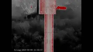 Кабан в Тепловизионный прицел Sytong RM03-35LRF