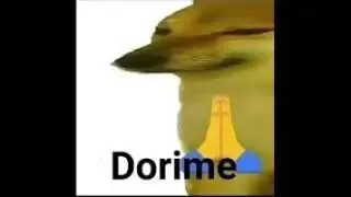 dorime