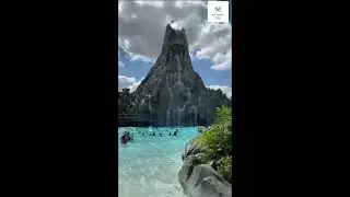 cute animals -  Volcano Bay | Orlando's Best Water Park#shorts.cute animals baby