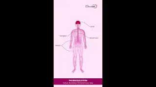 Support Patients With Nervous System Disorder | Project Global Cure